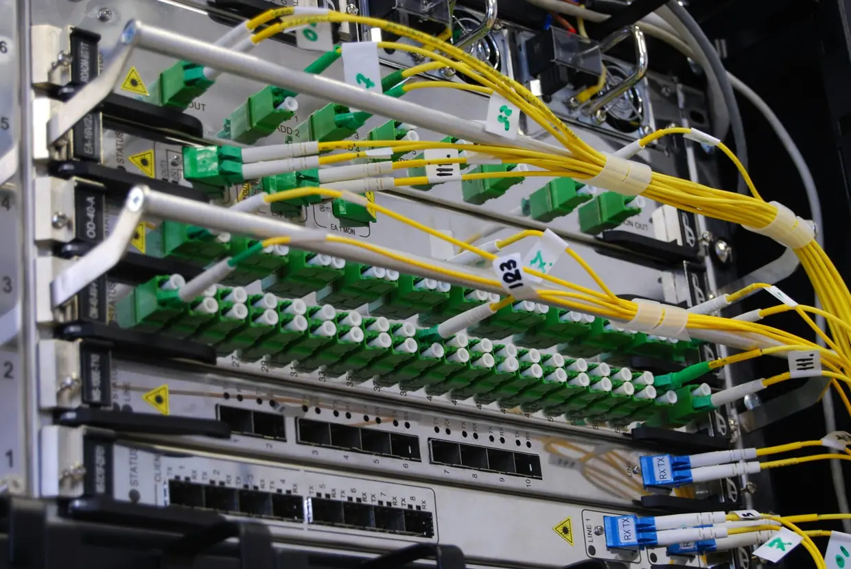 Netwerkkabels in een switch